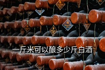 一斤米可以釀多少斤白酒