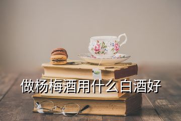 做楊梅酒用什么白酒好