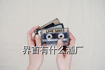 界首有什么酒廠(chǎng)