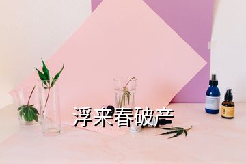 浮來(lái)春破產(chǎn)