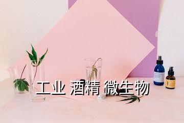 工業(yè) 酒精 微生物