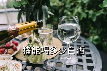 豬能喝多少白酒