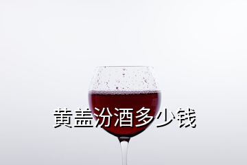 黃蓋汾酒多少錢