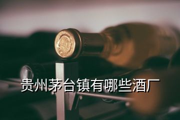 貴州茅臺(tái)鎮(zhèn)有哪些酒廠