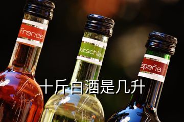 十斤白酒是幾升