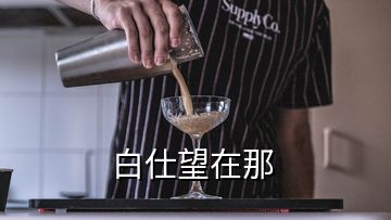 白仕望在那