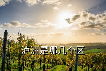 瀘洲是哪幾個(gè)區(qū)