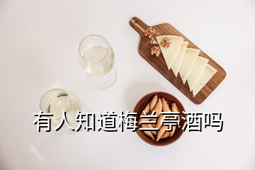 有人知道梅蘭亭酒嗎