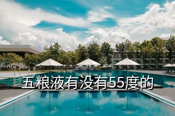 五糧液有沒(méi)有55度的