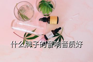 什么牌子的音響音質(zhì)好