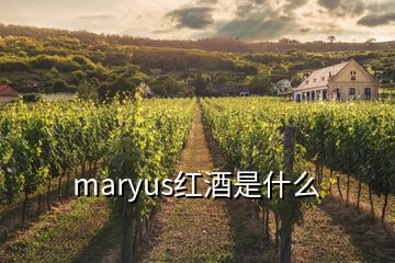 maryus紅酒是什么