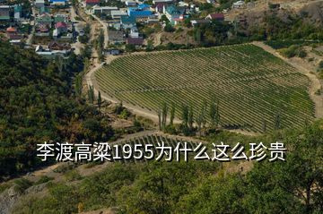 李渡高粱1955為什么這么珍貴