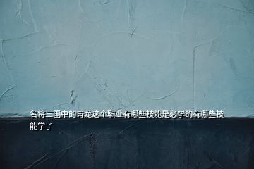 名將三國(guó)中的青龍這個(gè)職業(yè)有哪些技能是必學(xué)的有哪些技能學(xué)了