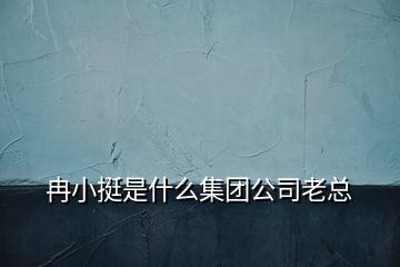 冉小挺是什么集團(tuán)公司老總