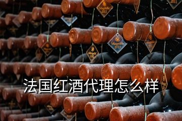 法國紅酒代理怎么樣