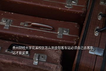 貴州財經大學花溪校區(qū)怎么到金陽客車站必須自己去客車站才能買票