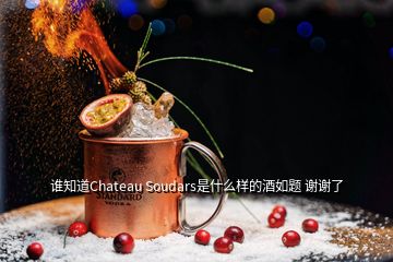 誰知道Chateau Soudars是什么樣的酒如題 謝謝了