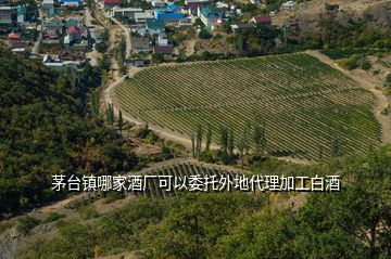 茅臺(tái)鎮(zhèn)哪家酒廠可以委托外地代理加工白酒