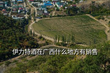 伊力特酒在廣西什么地方有銷售