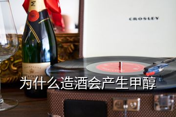 為什么造酒會產(chǎn)生甲醇