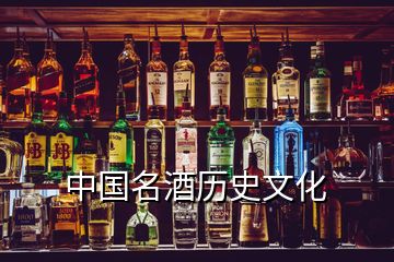 中國(guó)名酒歷史文化