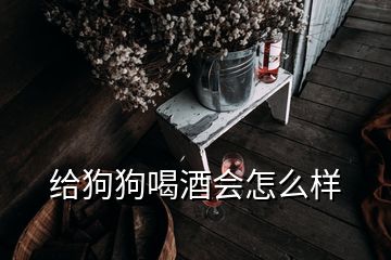 給狗狗喝酒會怎么樣