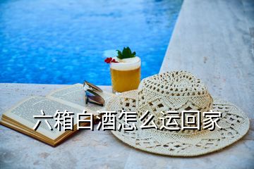 六箱白酒怎么運(yùn)回家