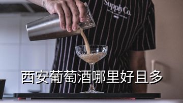 西安葡萄酒哪里好且多