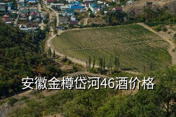 安徽金樽岱河46酒價格