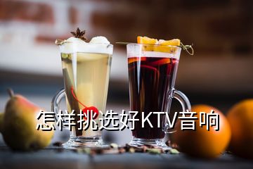 怎樣挑選好KTV音響