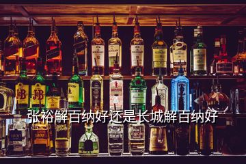 張裕解百納好還是長城解百納好