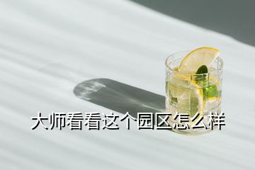 大師看看這個園區(qū)怎么樣