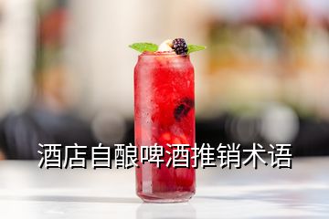 酒店自釀啤酒推銷術(shù)語