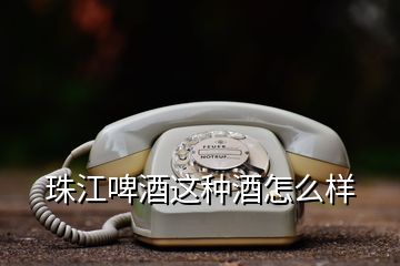 珠江啤酒這種酒怎么樣