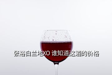 張?jiān)０滋m地XO 誰知道這酒的價(jià)格