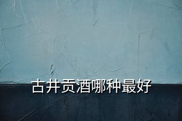 古井貢酒哪種最好