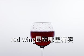 red wing昆明哪里有賣