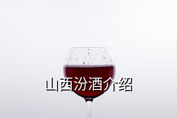 山西汾酒介紹