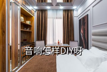 音響怎樣DIY呀