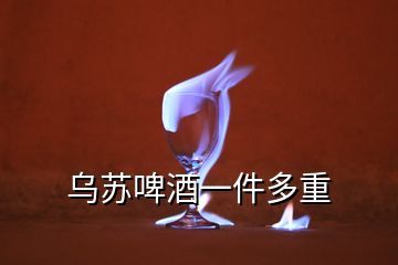 烏蘇啤酒一件多重