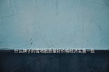 什么牌子的雪地胎質(zhì)量好價格經(jīng)濟實惠一些