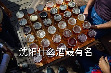 沈陽什么酒最有名