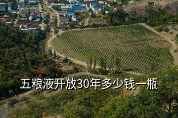 五糧液開(kāi)放30年多少錢(qián)一瓶