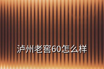 瀘州老窖60怎么樣