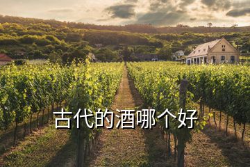 古代的酒哪個(gè)好