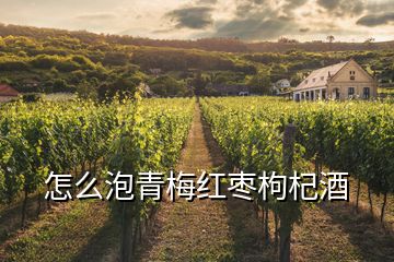 怎么泡青梅紅棗枸杞酒