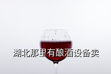 湖北那里有釀酒設(shè)備賣