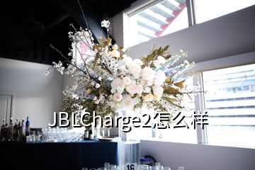 JBLCharge2怎么樣