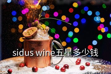 sidus wine五星多少錢