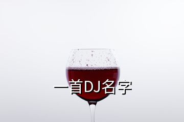 一首DJ名字